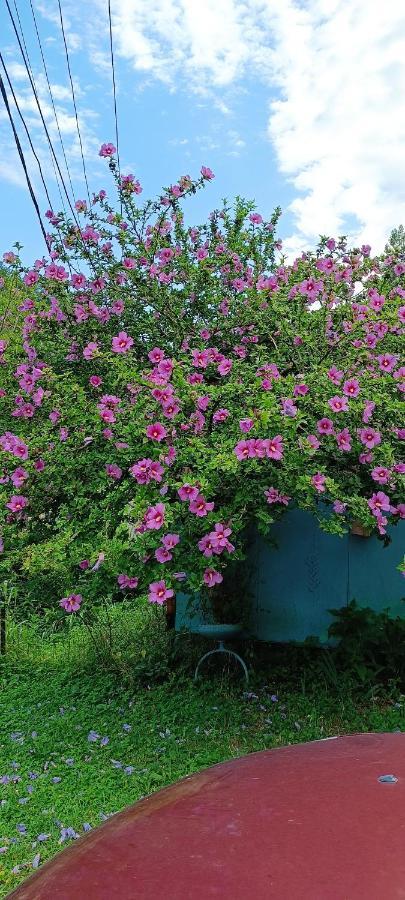 فندق بيزوندافي  Zolotaya Buhta 10 المظهر الخارجي الصورة